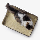 Bac à litière XXL Pool