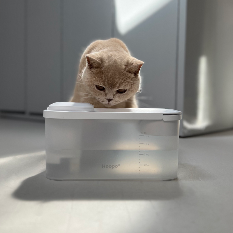 Fontaine à eau pour chat sans fil silencieuse