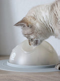 Gamelle ludique Cat Igloo