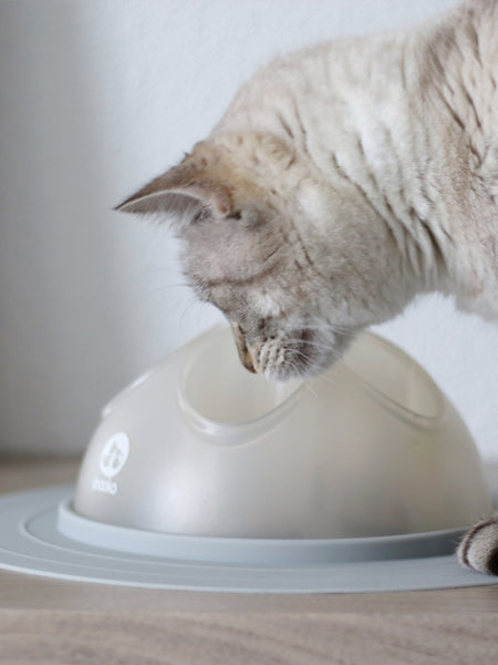Gamelle ludique Cat Igloo