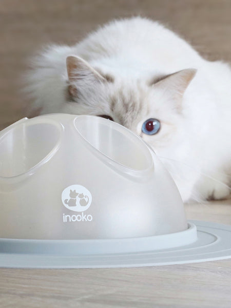 Gamelle ludique Cat Igloo