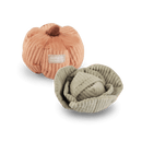 Kitty veggie à la cataire