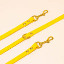 Laisse pour chien en biothane