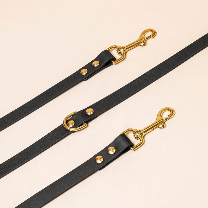 Laisse pour chien en biothane