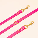 Laisse pour chien en biothane