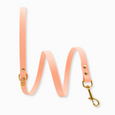 Laisse pour chien en biothane