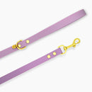 Laisse pour chien en biothane