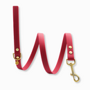 Laisse pour chien en biothane