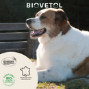 Destruct' urine chien bio