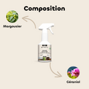 Spray anti-puces naturel pour l'habitat