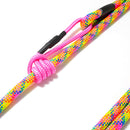 Laisse pour chien en corde d'escalade