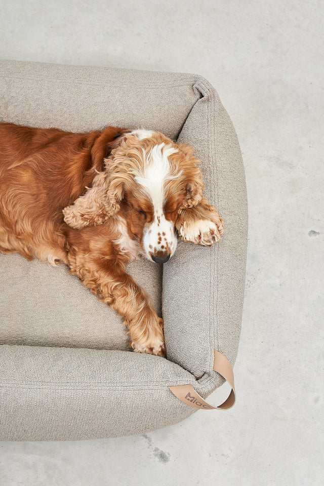 Panier pour chien Mondo