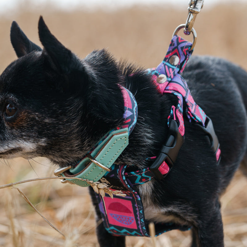 Harnais pour chien Mud Cloth