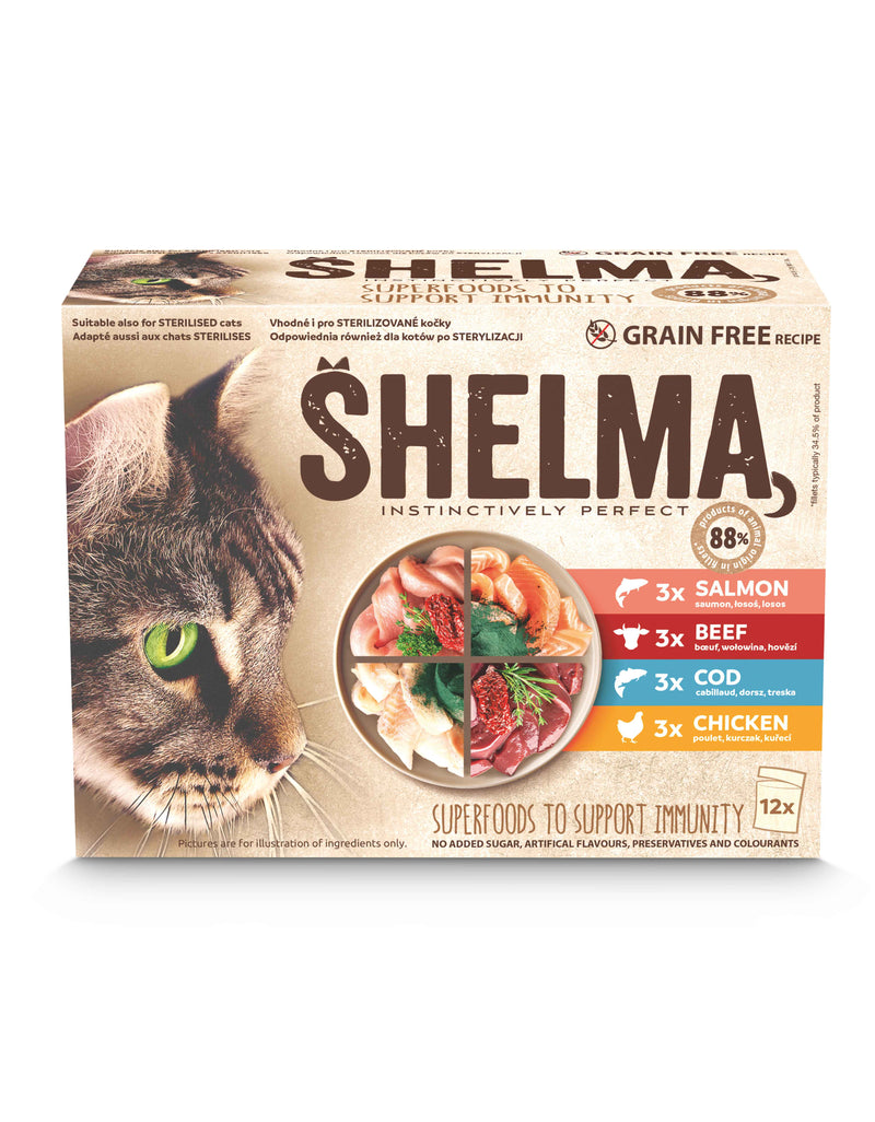Sachets Effilochés en Sauce Shelma pour Chat - Saveurs Saumon, Bœuf, Poulet et Cabillaud