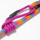 Laisse pour chien en corde d'escalade