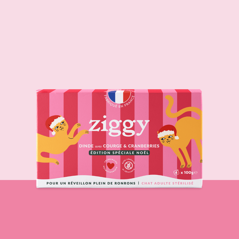 Pâté de Noël à la dinde Ziggy