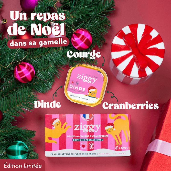 Pâté de Noël à la dinde Ziggy