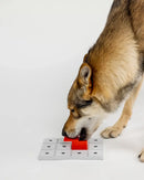 Jeu d'occupation et modules pour chien