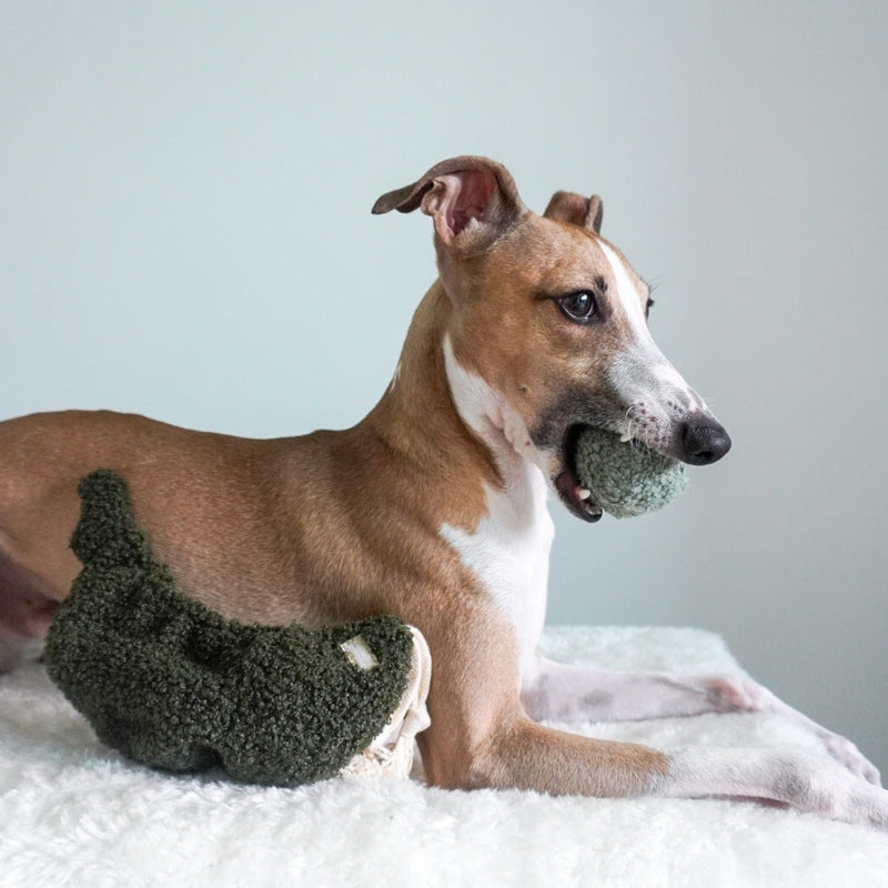 Jouet de fouille interactif et ludique pour chiens Pod PEA POP