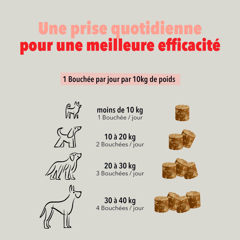 Bouchées Delamour – Articulations (Saveur poulet)
