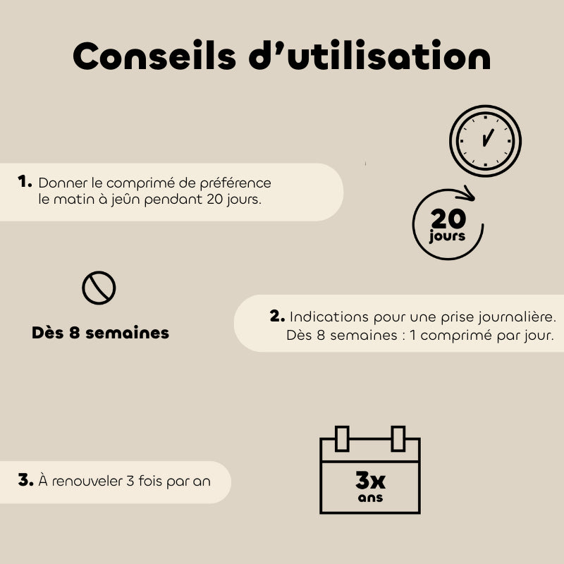 Probiotiques comprimés Bio Régul Transit chien