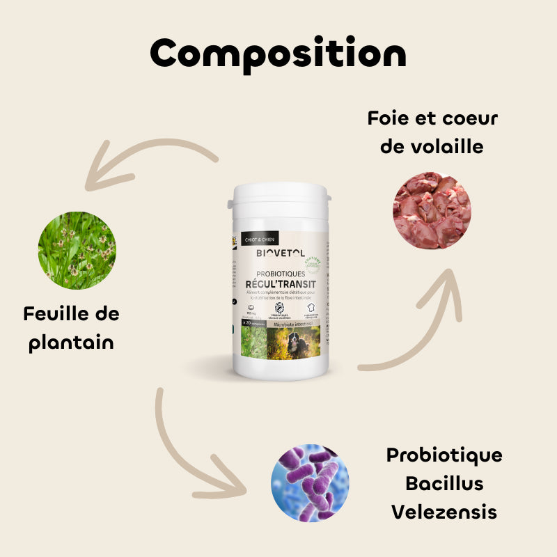 Probiotiques comprimés Bio Régul Transit chien