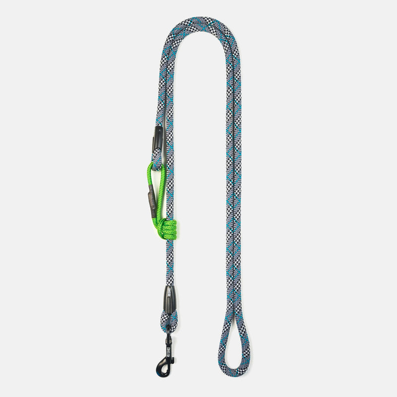 Laisse pour chien en corde d'escalade