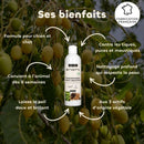 Shampoing anti insectes bio chats et chiens