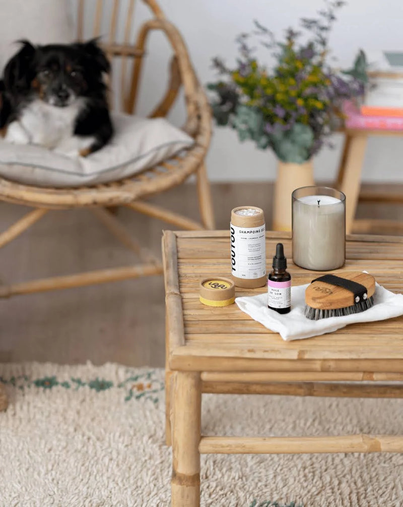Shampoing sec, huile de soin, bougie et brosse posés sur une table en bambou, un chien sur un fauteuil en arrière plan