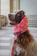 Snood Protecteur pour Chiens à Oreilles Longues