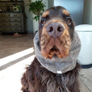 Snood pour chien oreilles longues