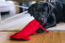 Lemmy le Homard – Jouet pour Chien PLAY Ocean Buddies