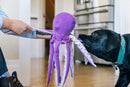 Opal la Pieuvre – Jouet pour Chien PLAY Ocean Buddies
