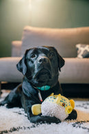 Poisson Globe – Jouet pour Chien PLAY Ocean Buddies
