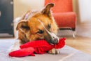 Lemmy le Homard – Jouet pour Chien PLAY Ocean Buddies