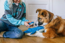 Big Blue & Baby Blue – Duo de Baleines pour Chien