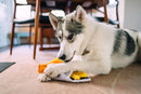 P.L.A.Y. – Jouet pour chien Chippy Chews, Fish & Chips interactif
