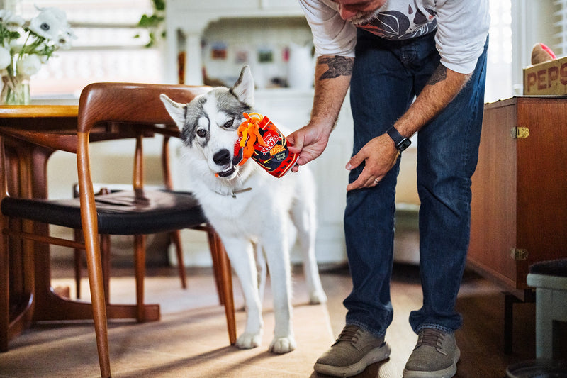 P.L.A.Y. – Jouet pour chien Slurp It Up, bol de nouilles en peluche