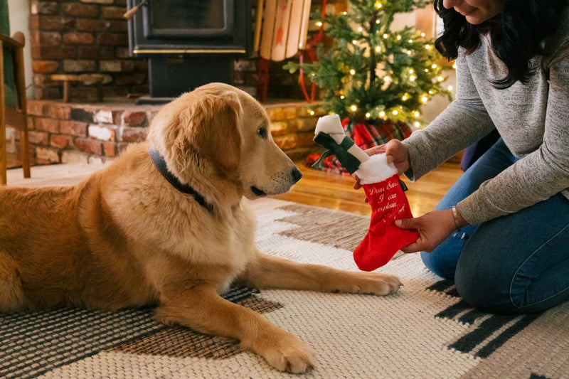 P.L.A.Y. – Good Dog Stocking, jouet de Noël pour chien