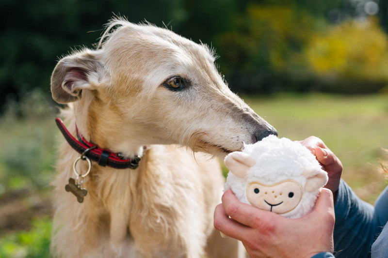 Jouet Sadie the Sheep