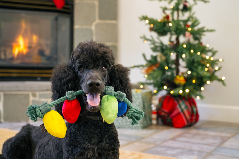 Jouet en corde Lampions de Noël – Guirlande festive pour chien P.L.A.Y.