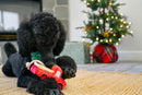 P.L.A.Y. – Holiday Hauler, jouet de Noël pour chien