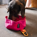 Bol de voyage pour chien pliable AquaFold