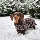 Manteau pour chien Bouclé – Woof & Wiggle