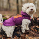 Imperméable pour chien « Anorak »