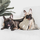 Jouet pour chien de fouille Butternut