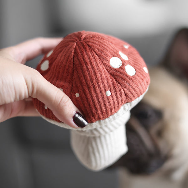 Jouet sensoriel et interactif pour petits chiens SHROOM