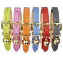 Collier en cuir gris ardoise collection color Pop - Hariet et Rosie