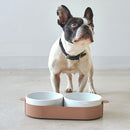 Bols doubles pour chat Tavoletta