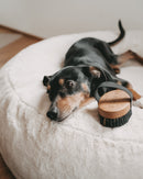 Brosse pour poils courts Lila Loves It